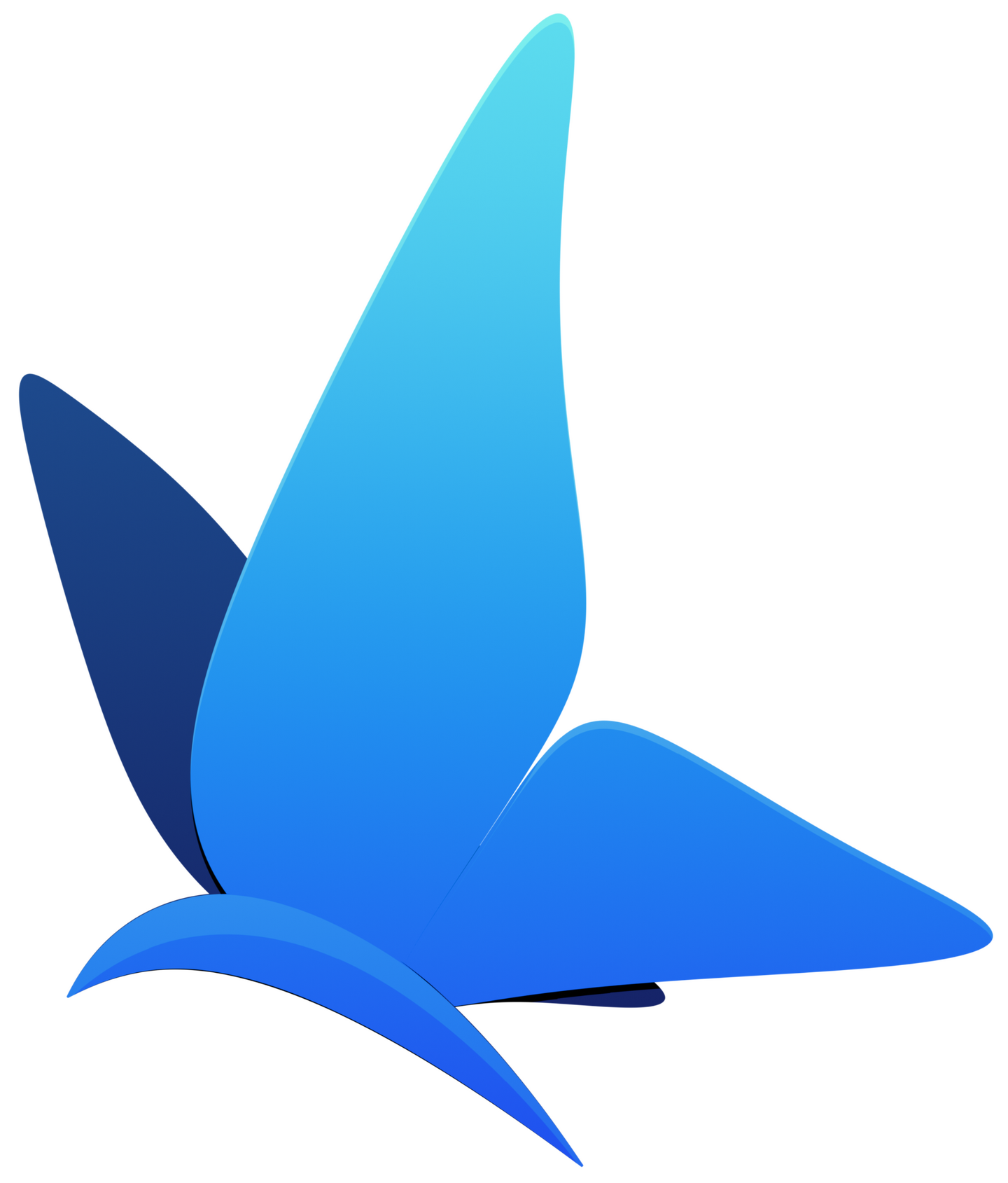 Indigo Morpho Logo